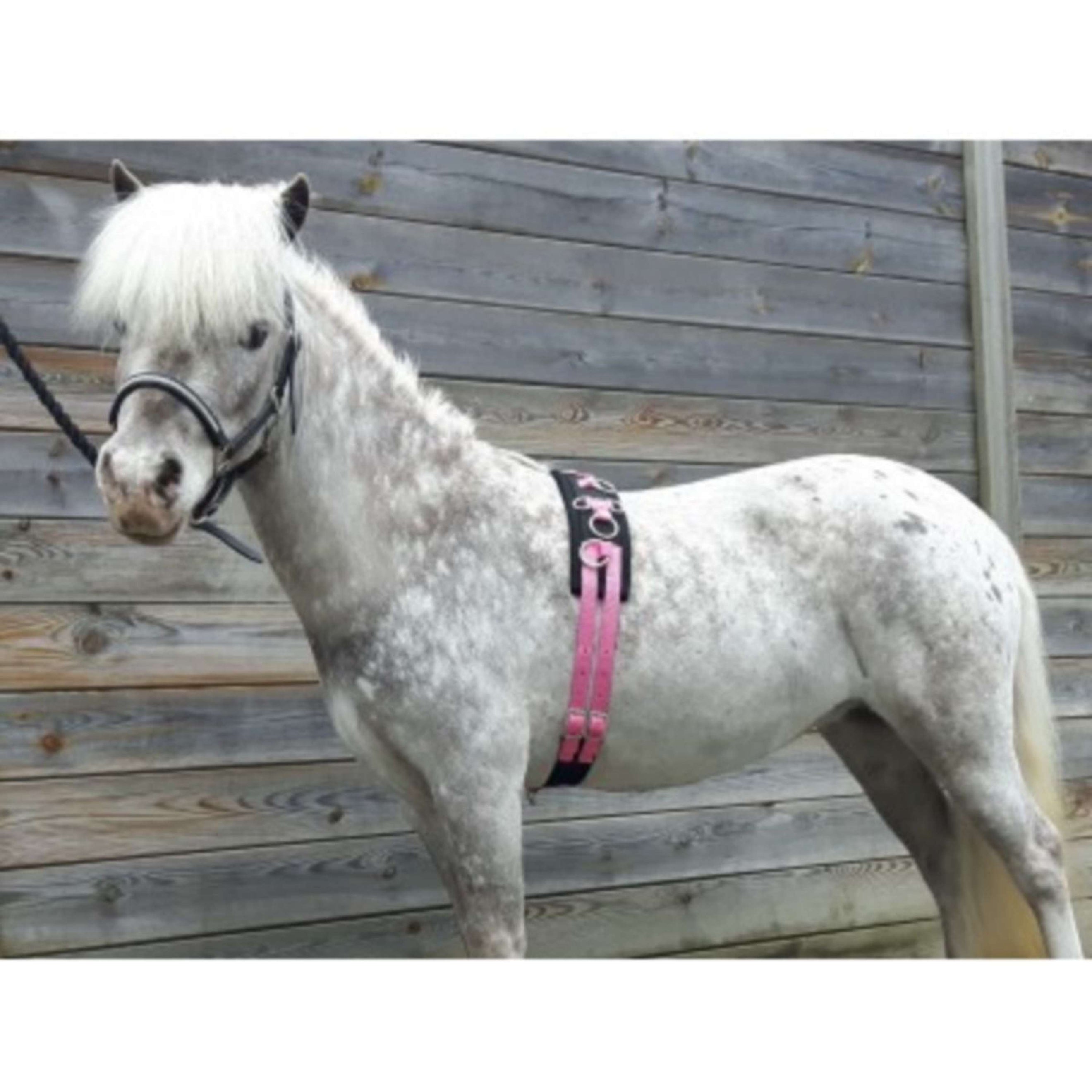 HB Lunging Girth Little Sizes Pink