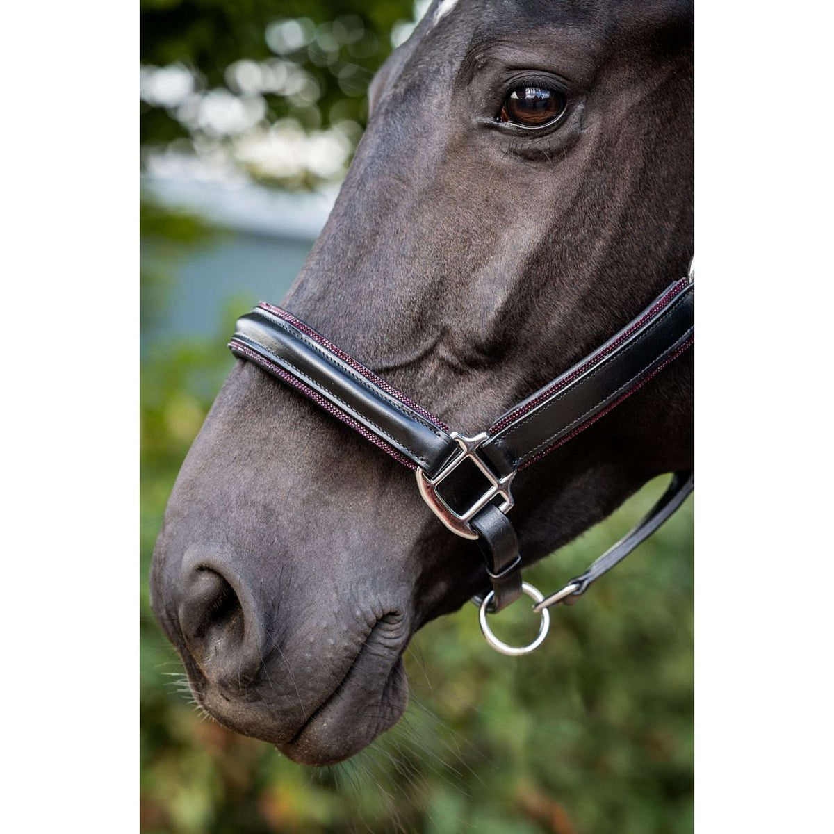 HB Halter Glitty Black/Burgundy