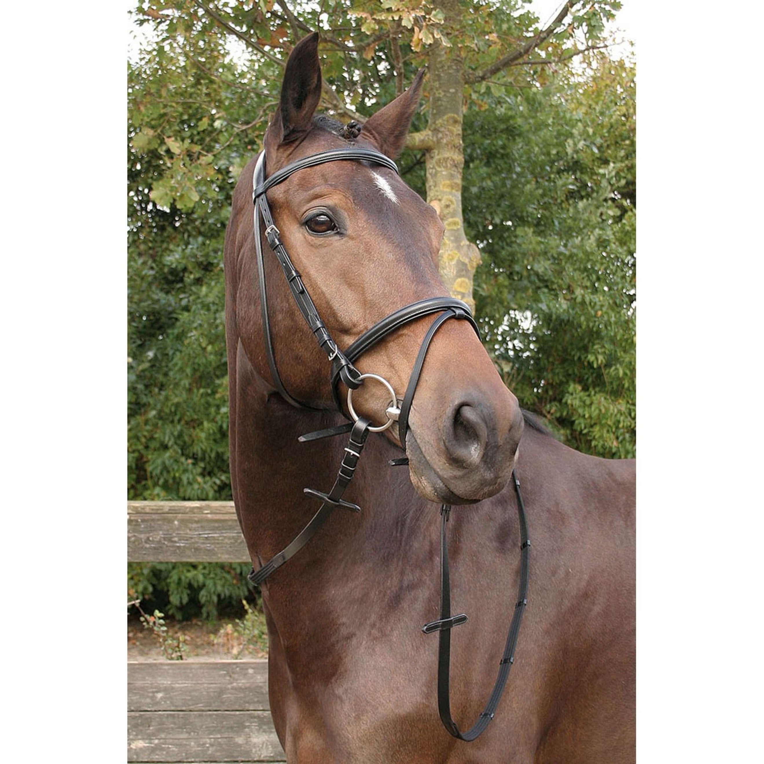 Harry's Horse Bridle Bronze Padded Black/Black