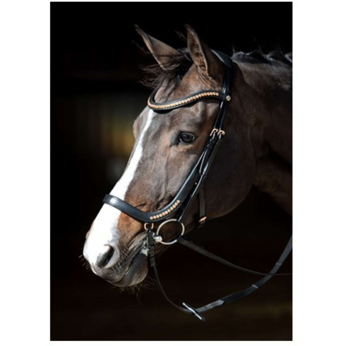 Harry's Horse Bridle Anatomic Black