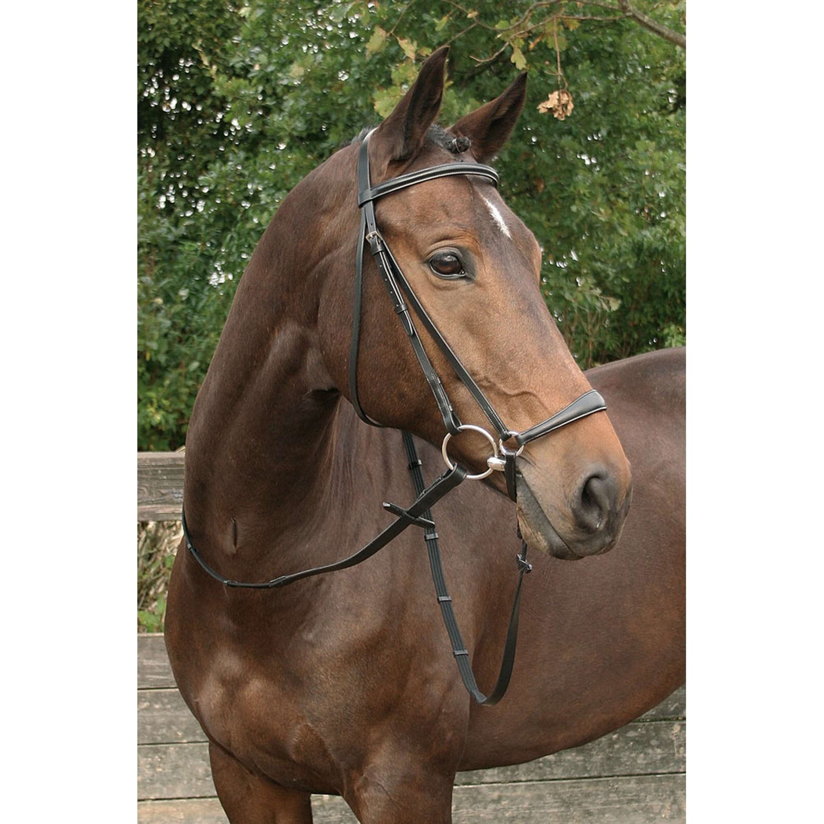 Harry's Horse Drop Noseband Bridle Black Harry's Horse Drop Noseband Bridle Black
