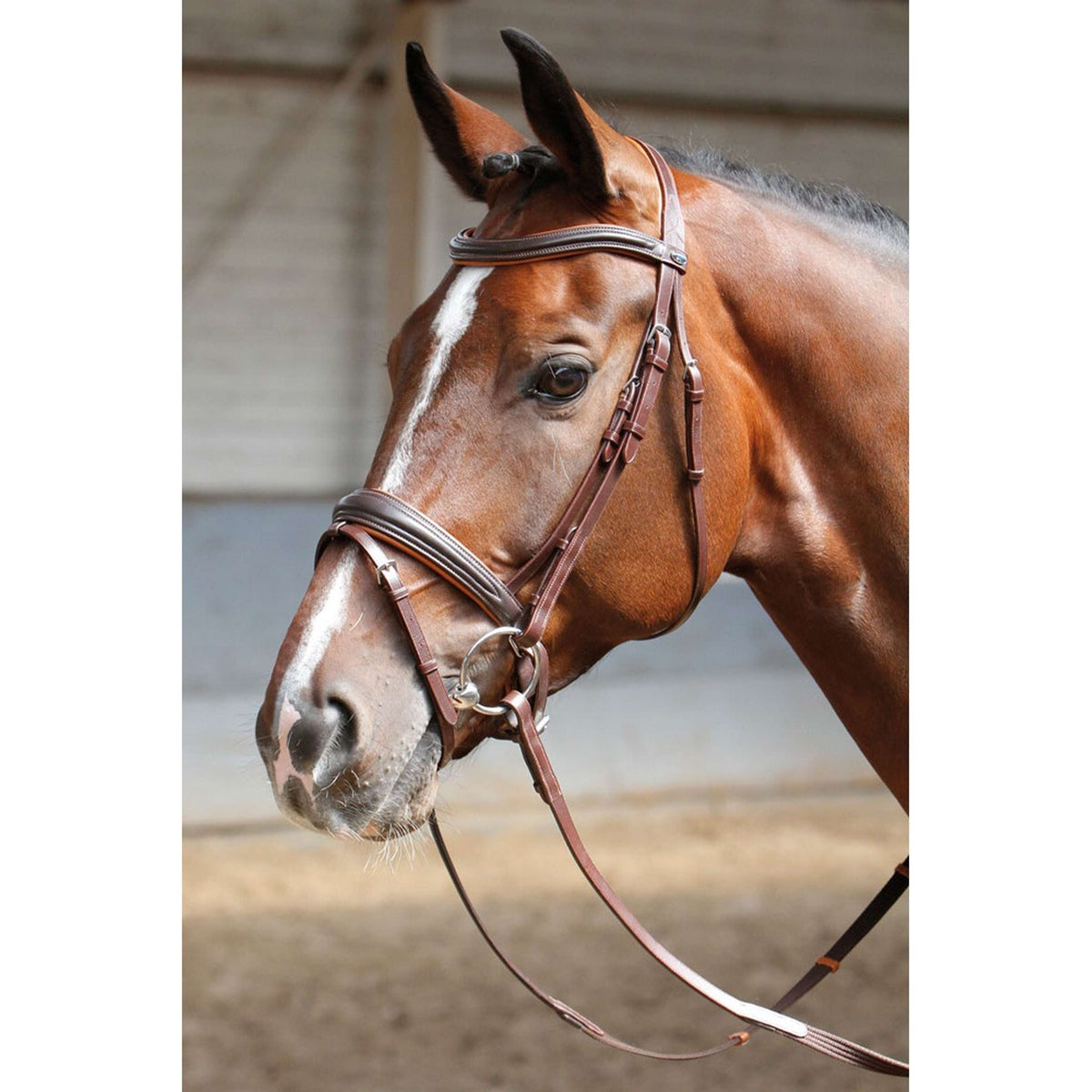 Harry's Horse Bridle Soft Brown