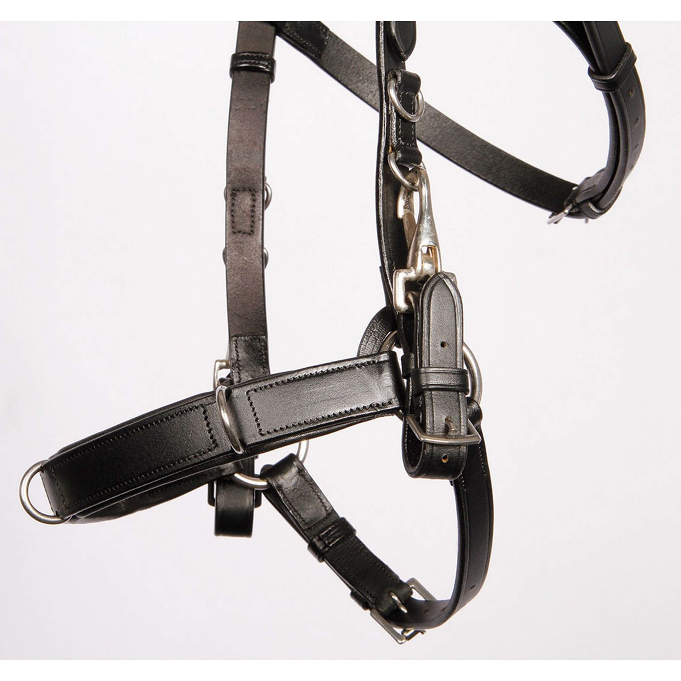 Harry's Horse Leather Lunging/Bridle Cavesson Black