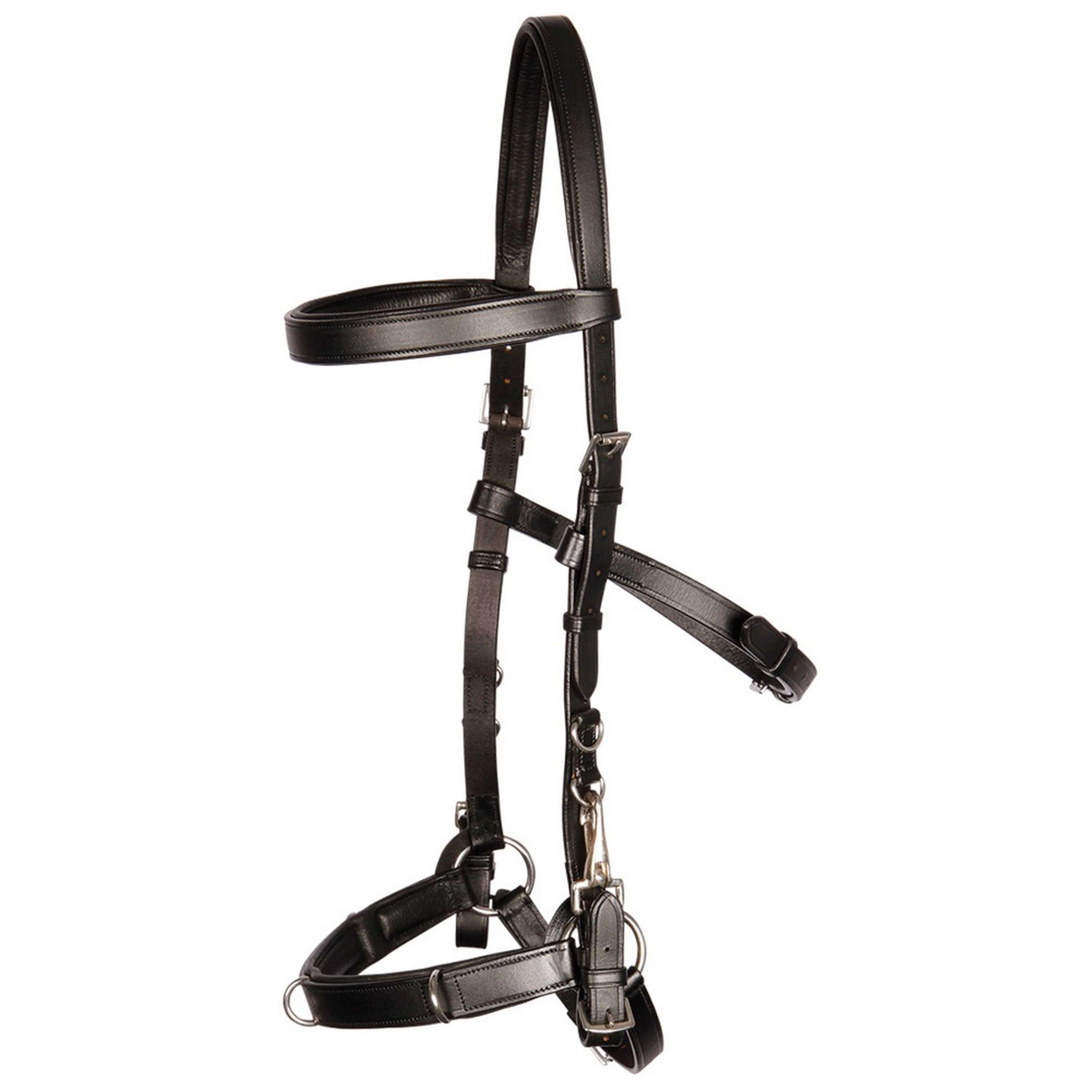 Harry's Horse Leather Lunging/Bridle Cavesson Black