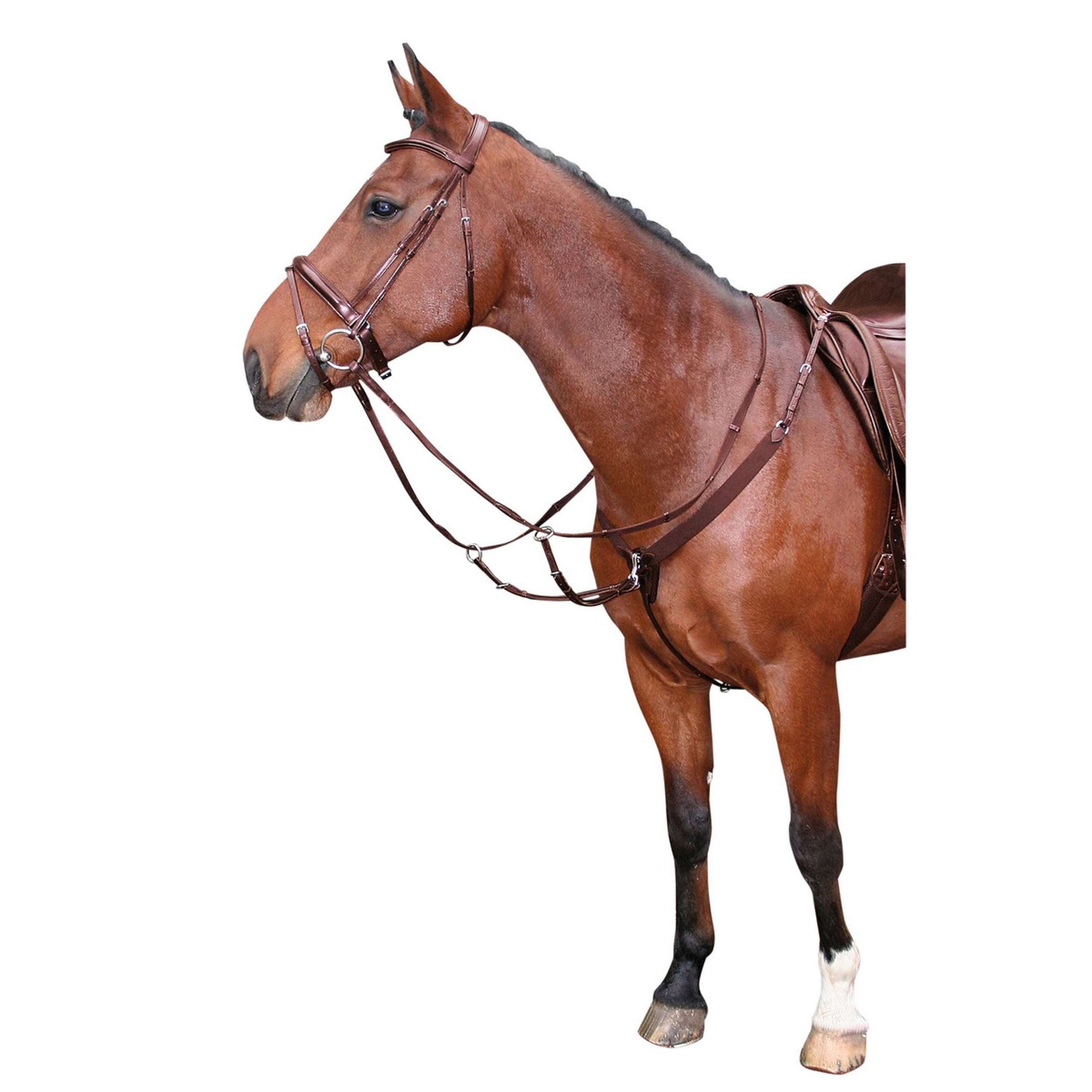 Harry's Horse Elastic Breastplate Brown