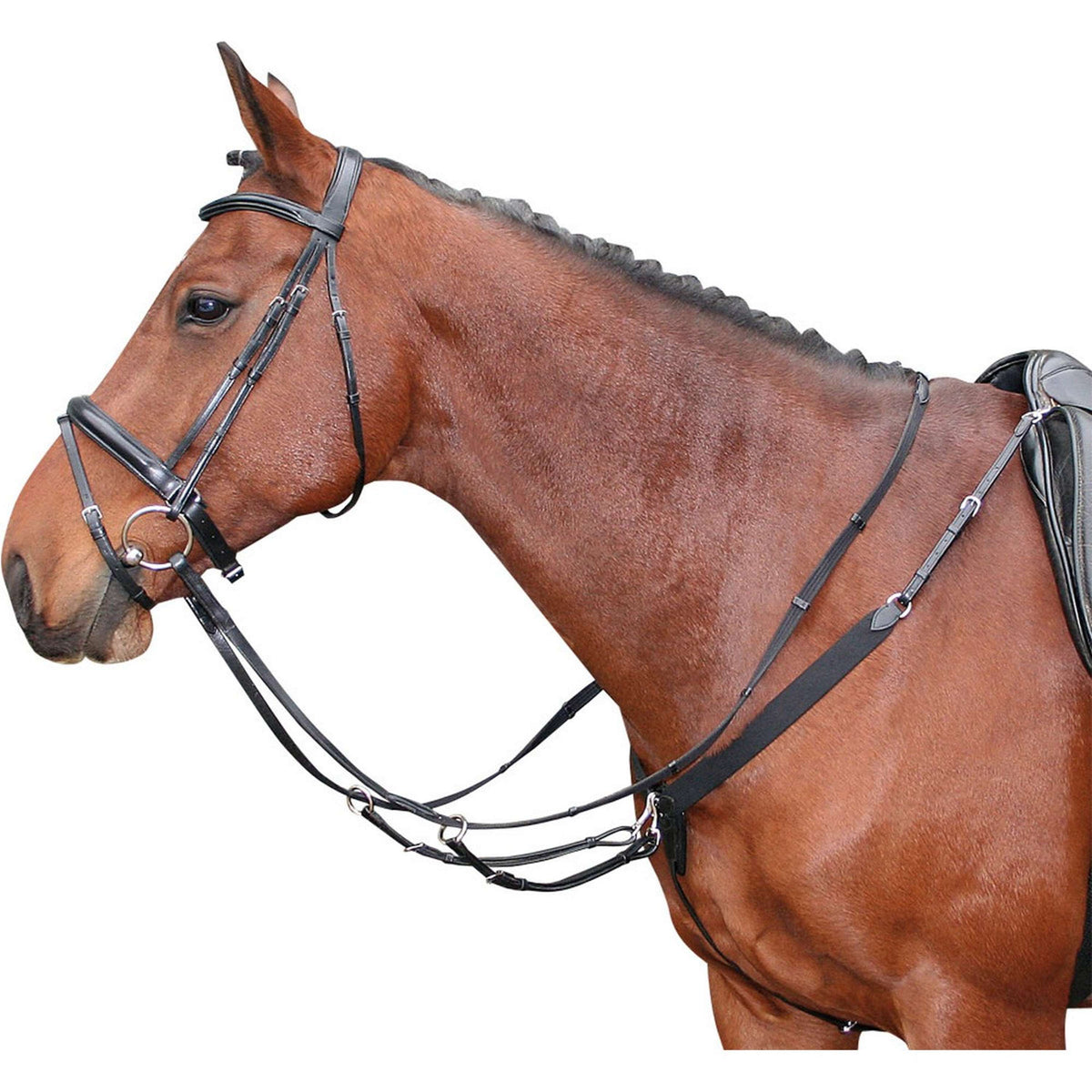 Harry's Horse Elastic Breastplate Black