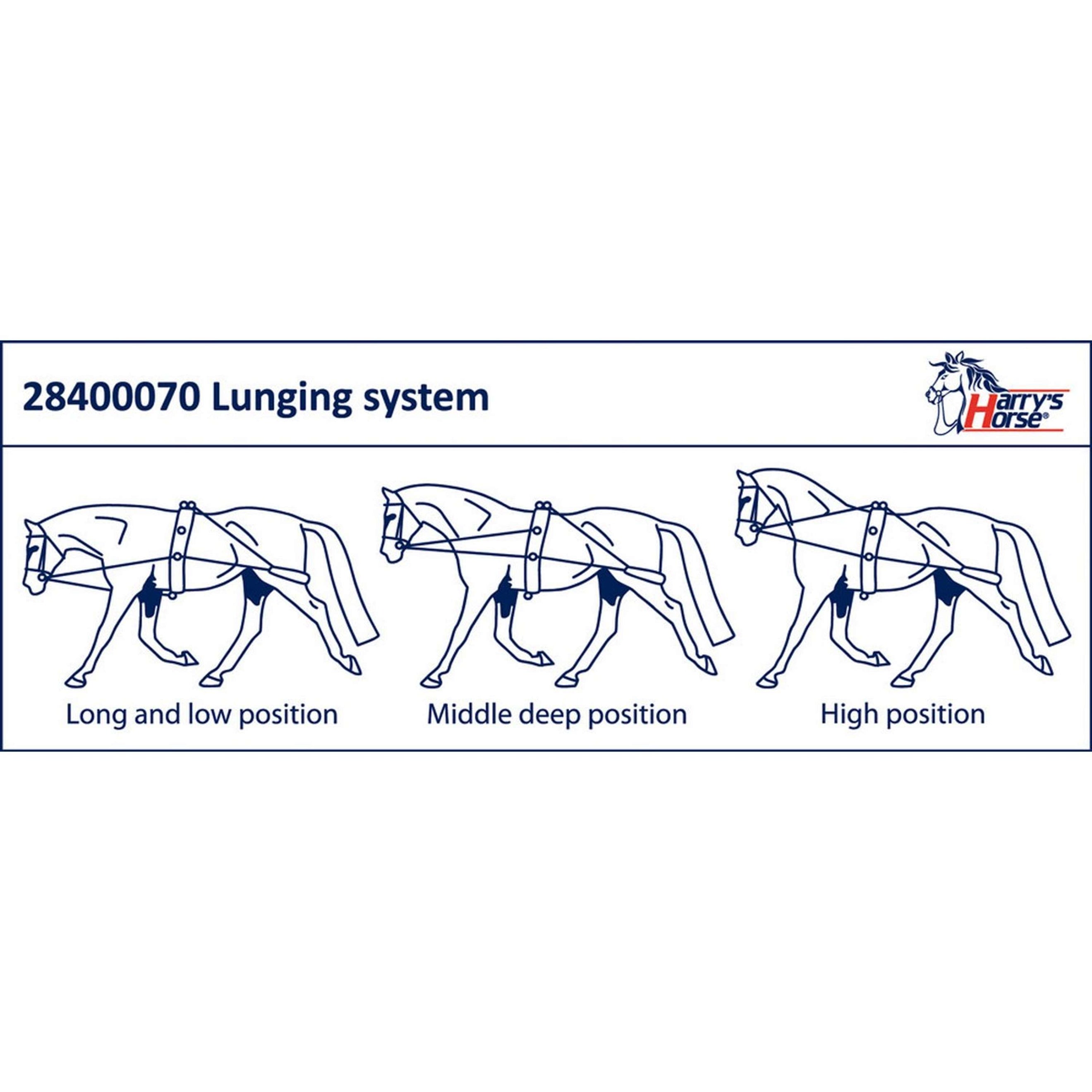 Harry's Horse Lunging System Harry's Horse Lunging System