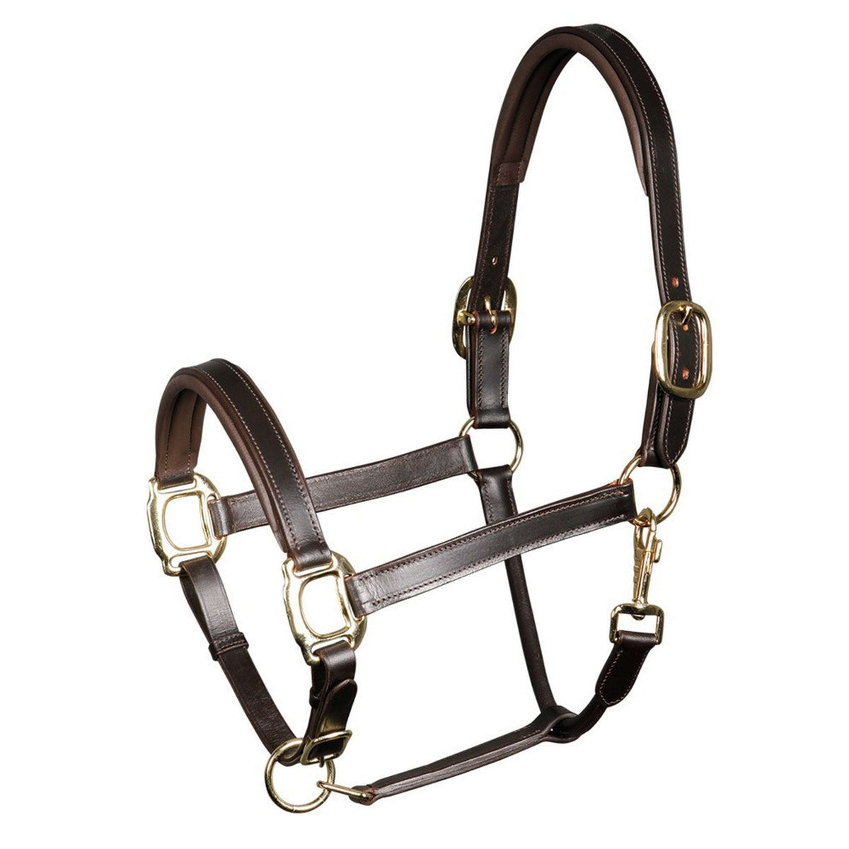 Harry's Horse Head Collar Leather Padded Brown