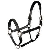 Harry's Horse Head Collar Leather Padded Black