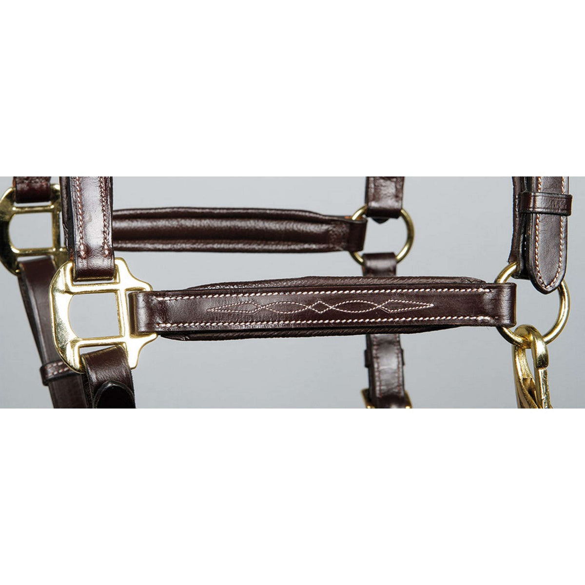 Harry's Horse Head Collar Leather Padded Supreme Brown