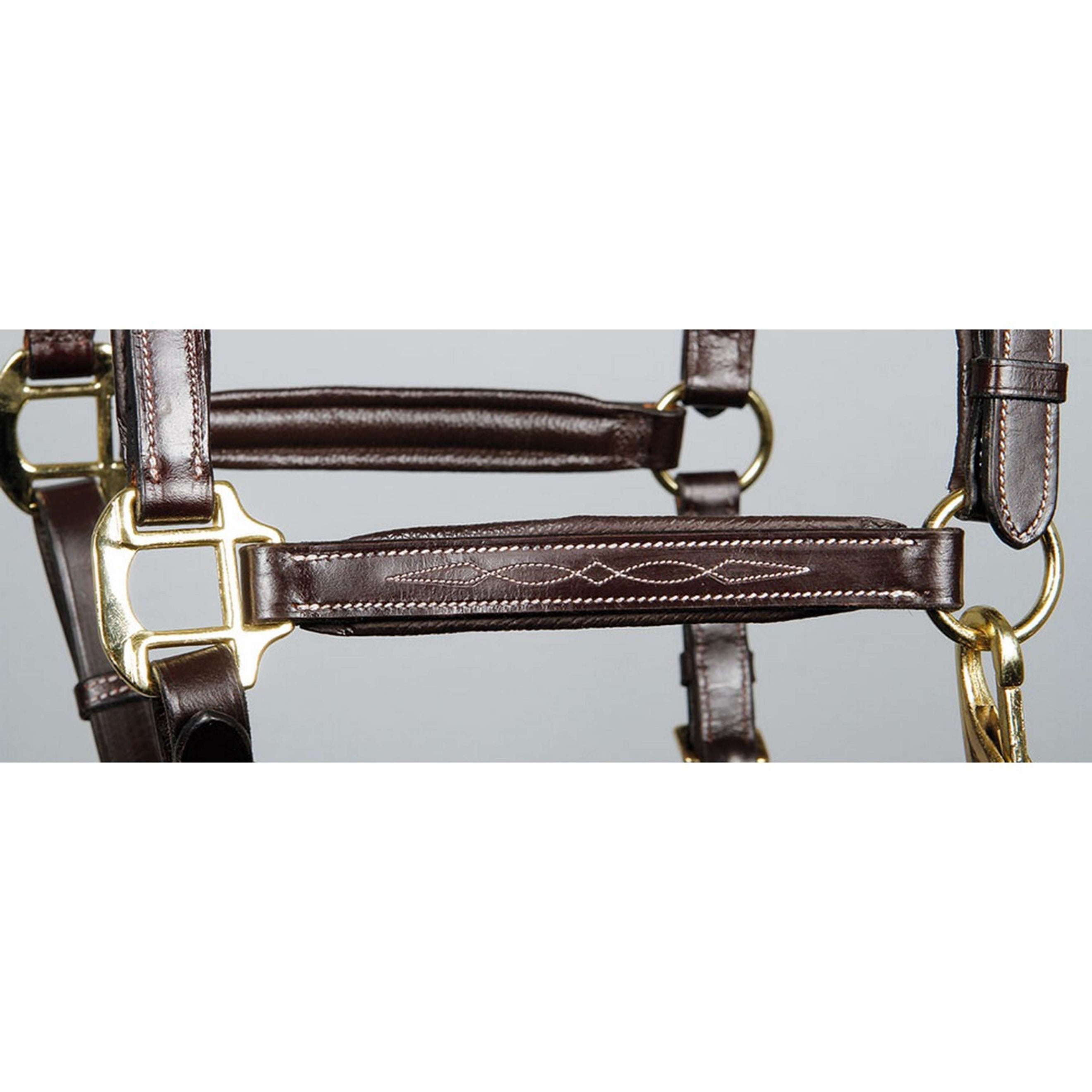 Harry's Horse Head Collar Leather Padded Supreme Brown Harry's Horse Head Collar Leather Padded Supreme Brown