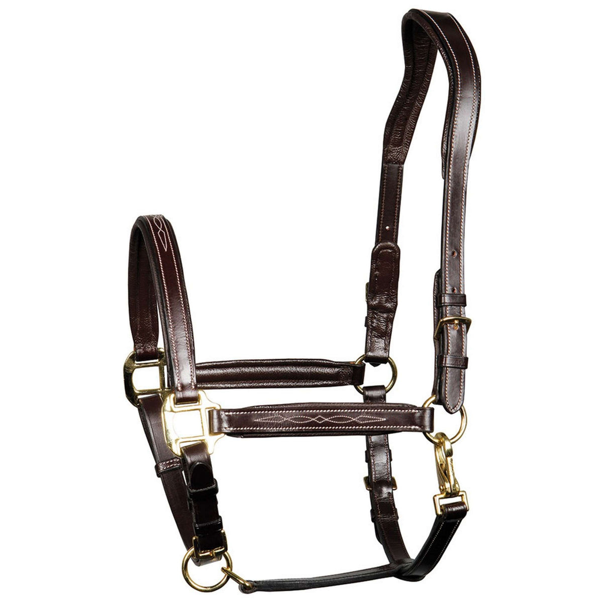 Harry's Horse Head Collar Leather Padded Supreme Brown