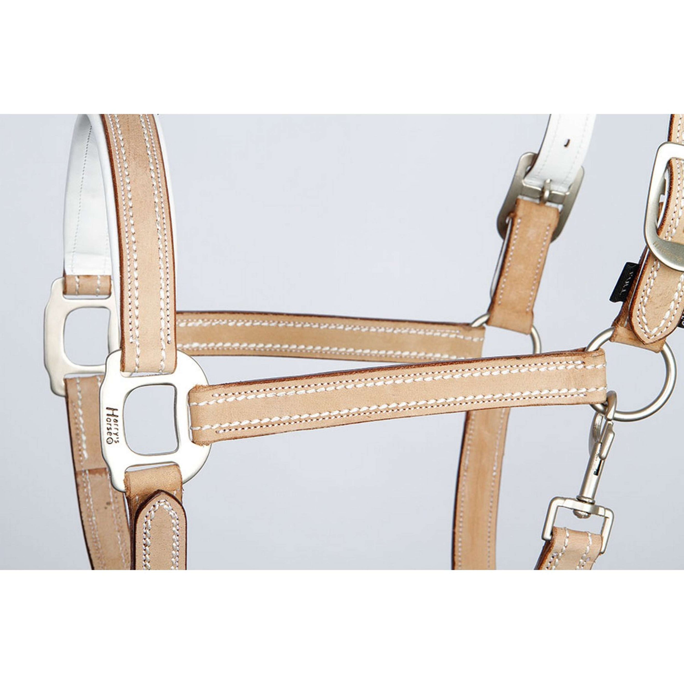 Harry's Horse Head Collar Cremello Leather Beige