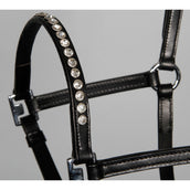 Harry's Horse Head Collar Leather Crystal