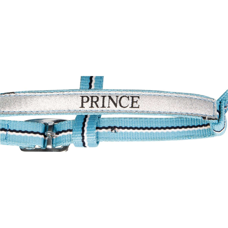 Harry's Horse Head Collar Set Foal Lightblue