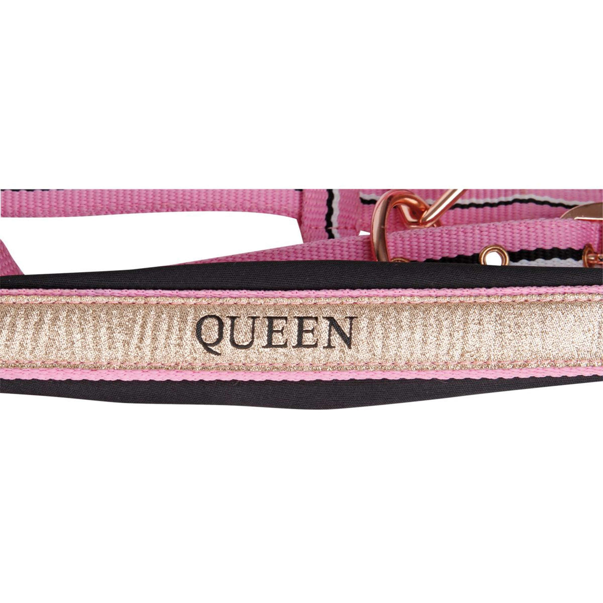 Harry's Horse Head Collar Set Mare Pink