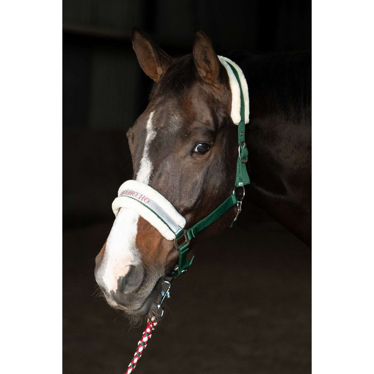 Harry's Horse Head Collar Set Lyrics Christmas Green