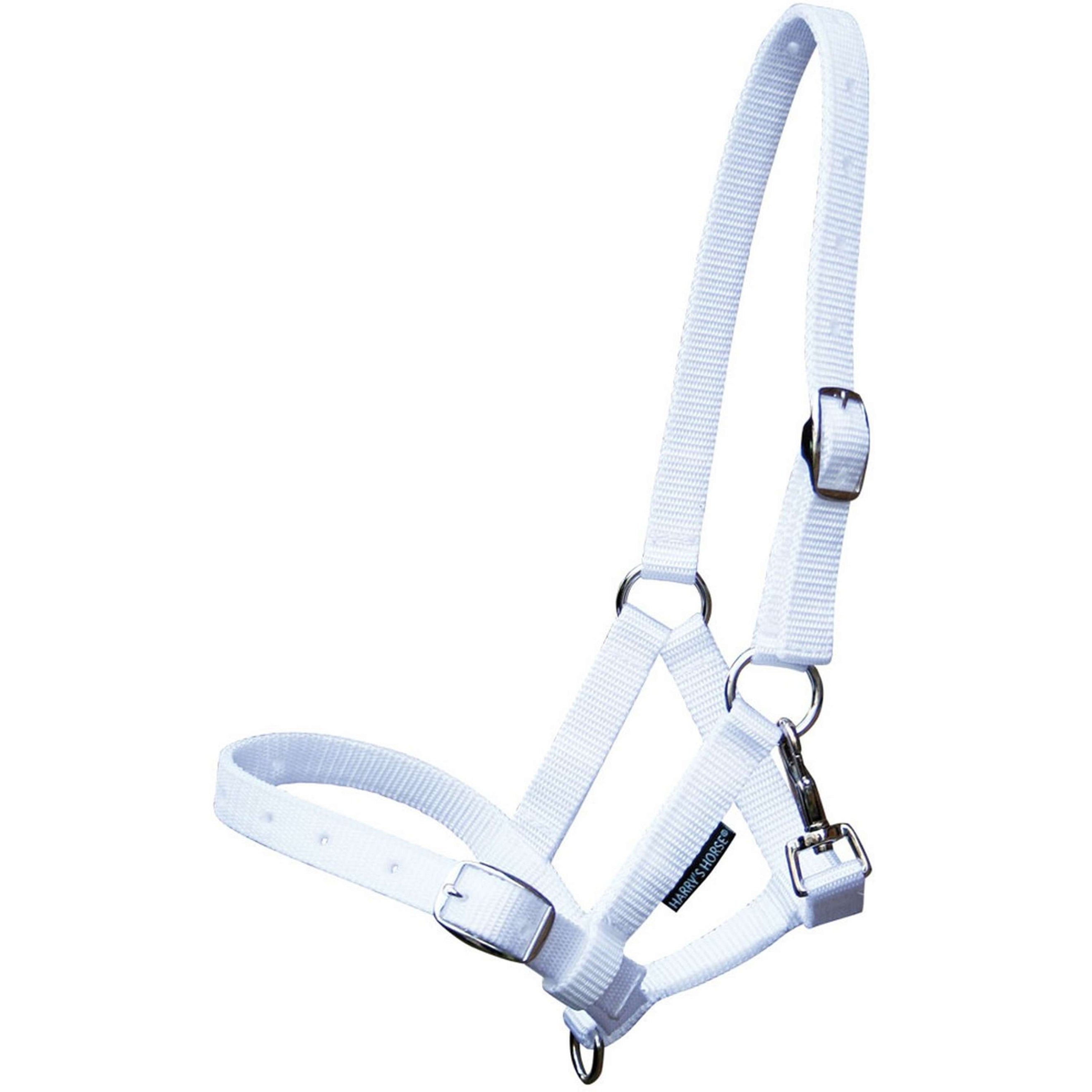 Harry's Horse Foal Headcollar White Harry's Horse Foal Headcollar White