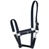 Harry's Horse Padded Halter Black