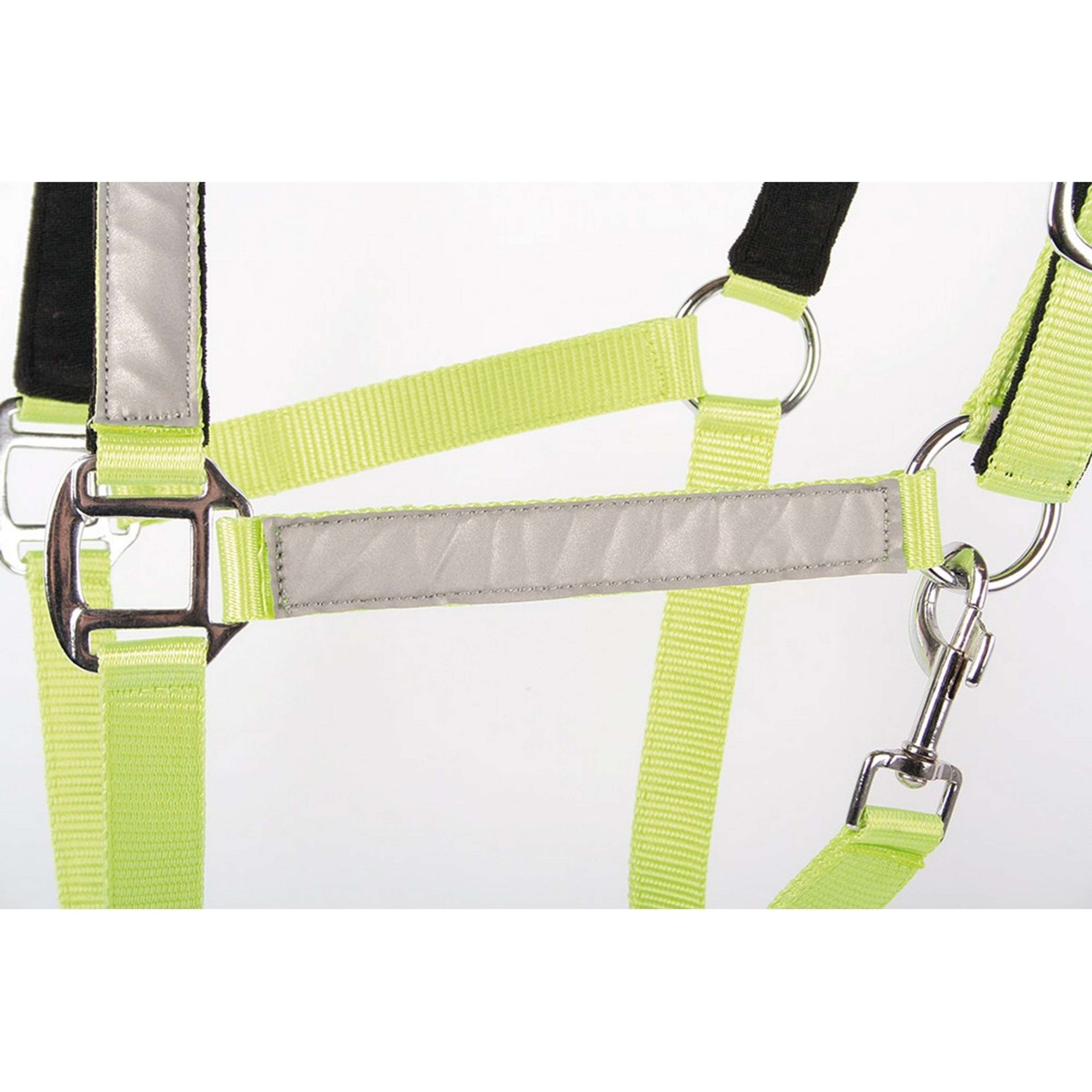 Harry's Horse Headcollar Reflective Reflective