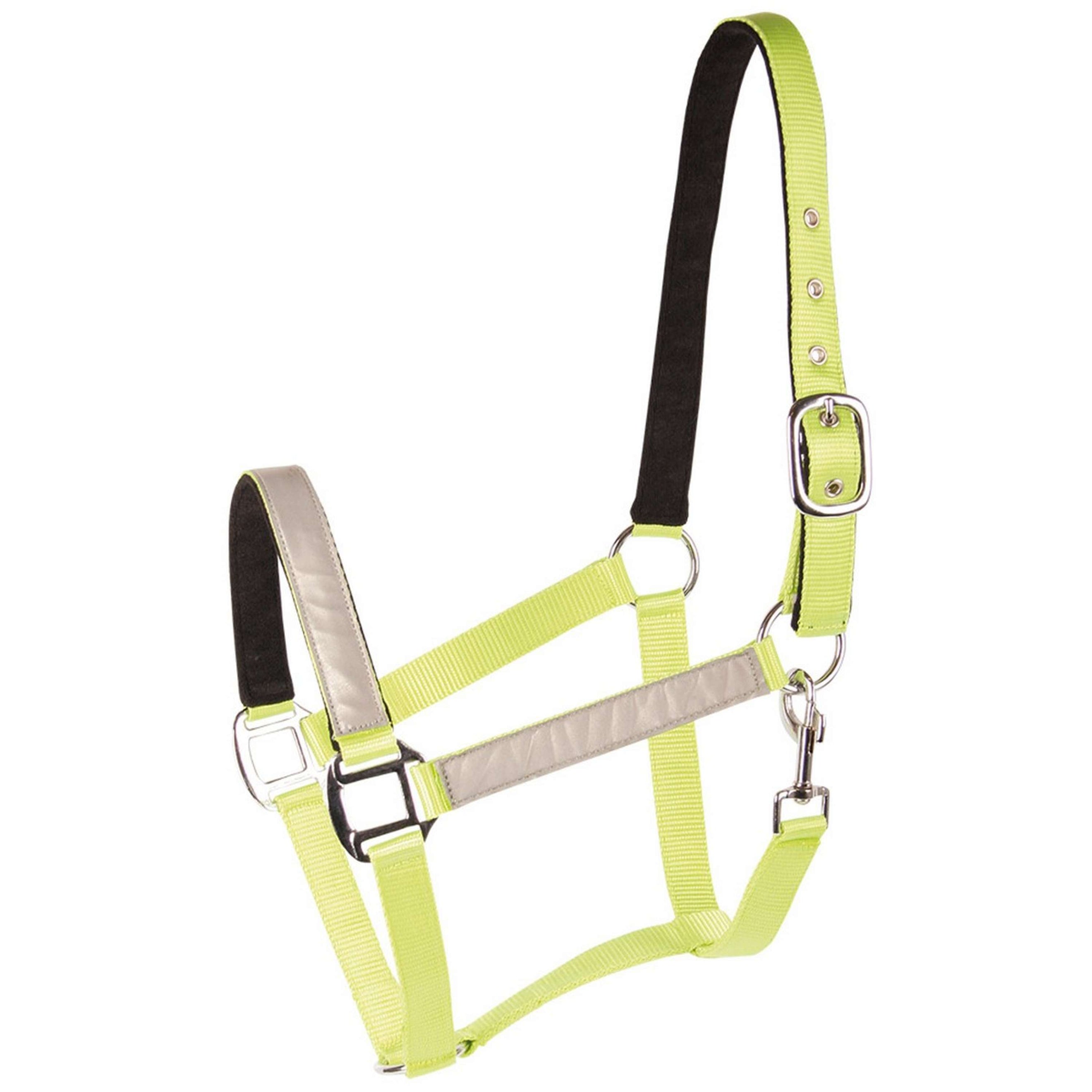 Harry's Horse Headcollar Reflective Reflective