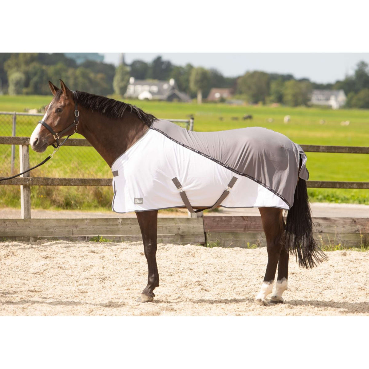 Harry's Horse Fly Rug Mesh-pro Grey