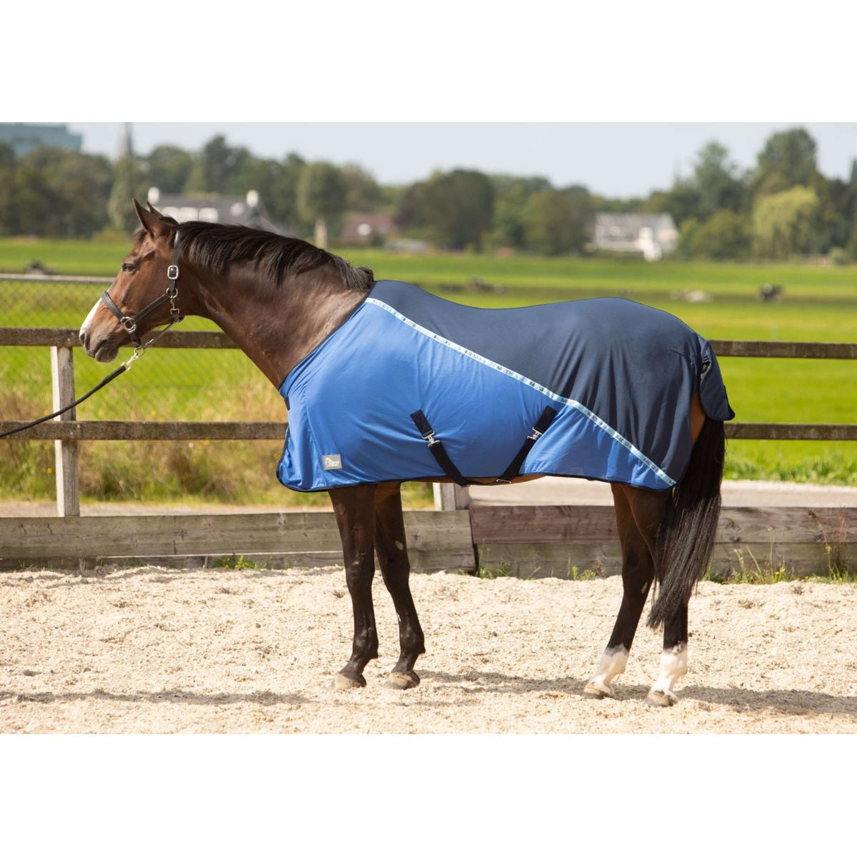 Harry's Horse Fly Rug Mesh-pro Navy