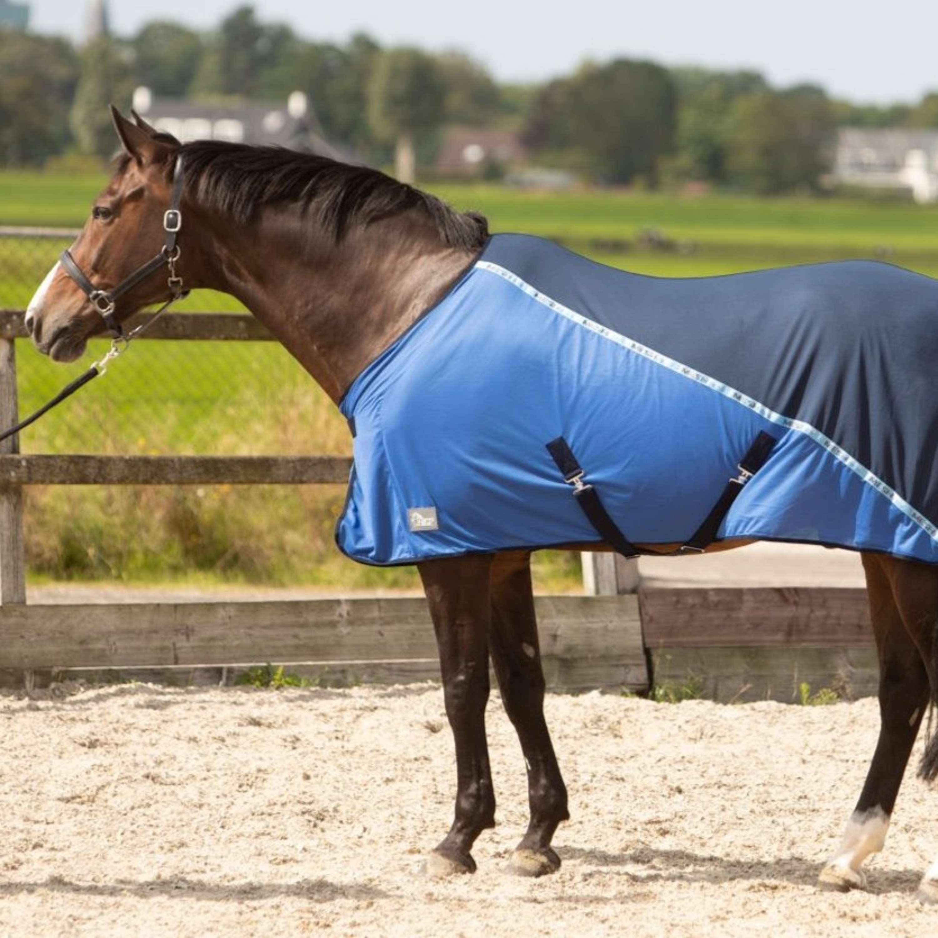 Harry's Horse Fly Rug Mesh-pro Navy
