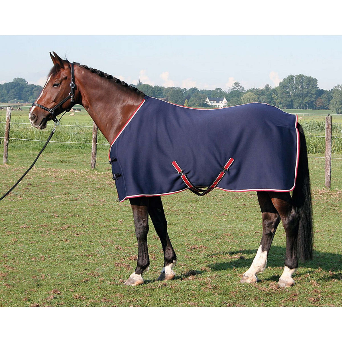 Harry's Horse Jersey Cooler Rug Navy