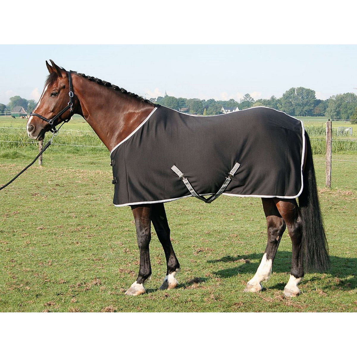 Harry's Horse Jersey Cooler Rug Black