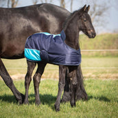 Harry's Horse Foal Rug TwoTone Navy