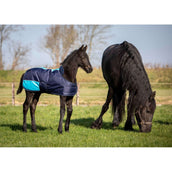 Harry's Horse Foal Rug TwoTone Navy