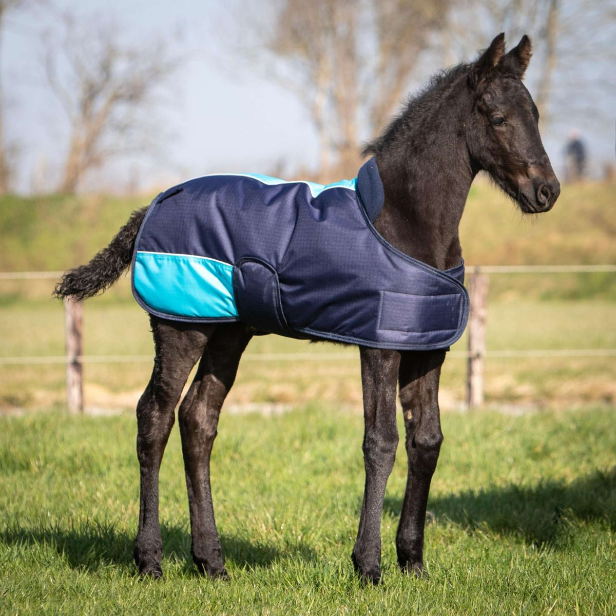 Harry's Horse Foal Rug TwoTone Navy