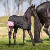 Harry's Horse Foal Rug TwoTone Black