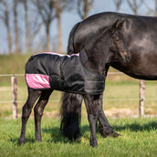 Harry's Horse Foal Rug TwoTone Black