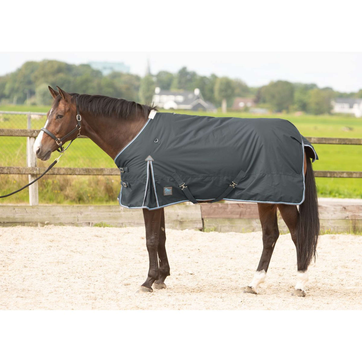 Harry's Horse Outdoor Rug Thor 200g Ebony