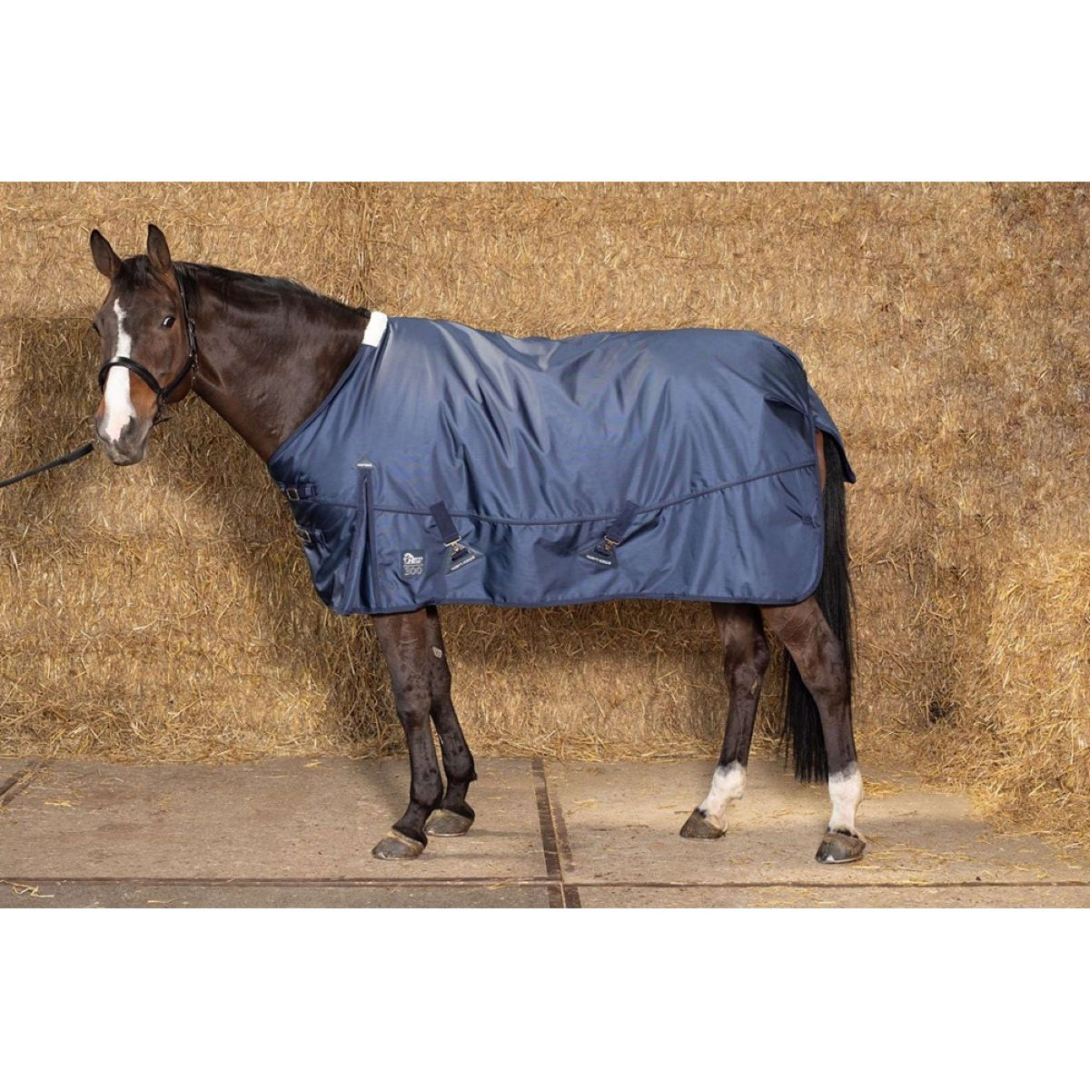 Harry's Horse Outdoor Rug Xtreme-1680 300gr Navy