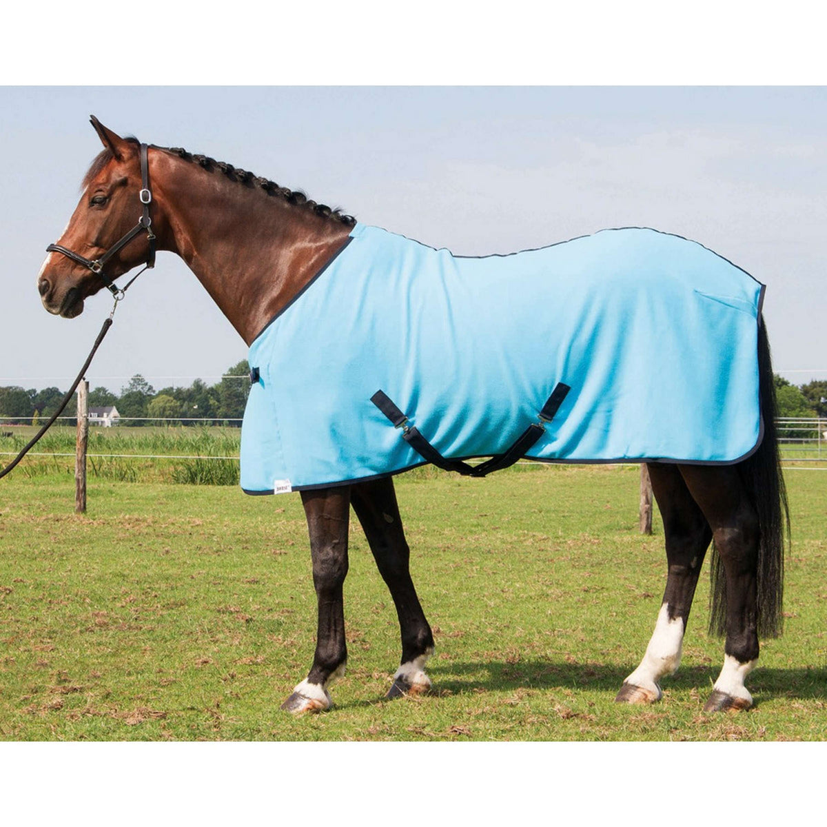 Harry's Horse Fleece Rug Colors Turquoise