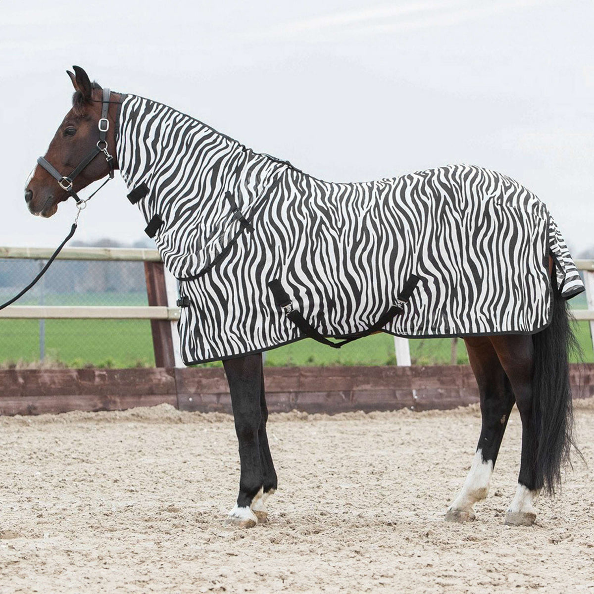 Harry's Horse Flysheet with Neck Zebra