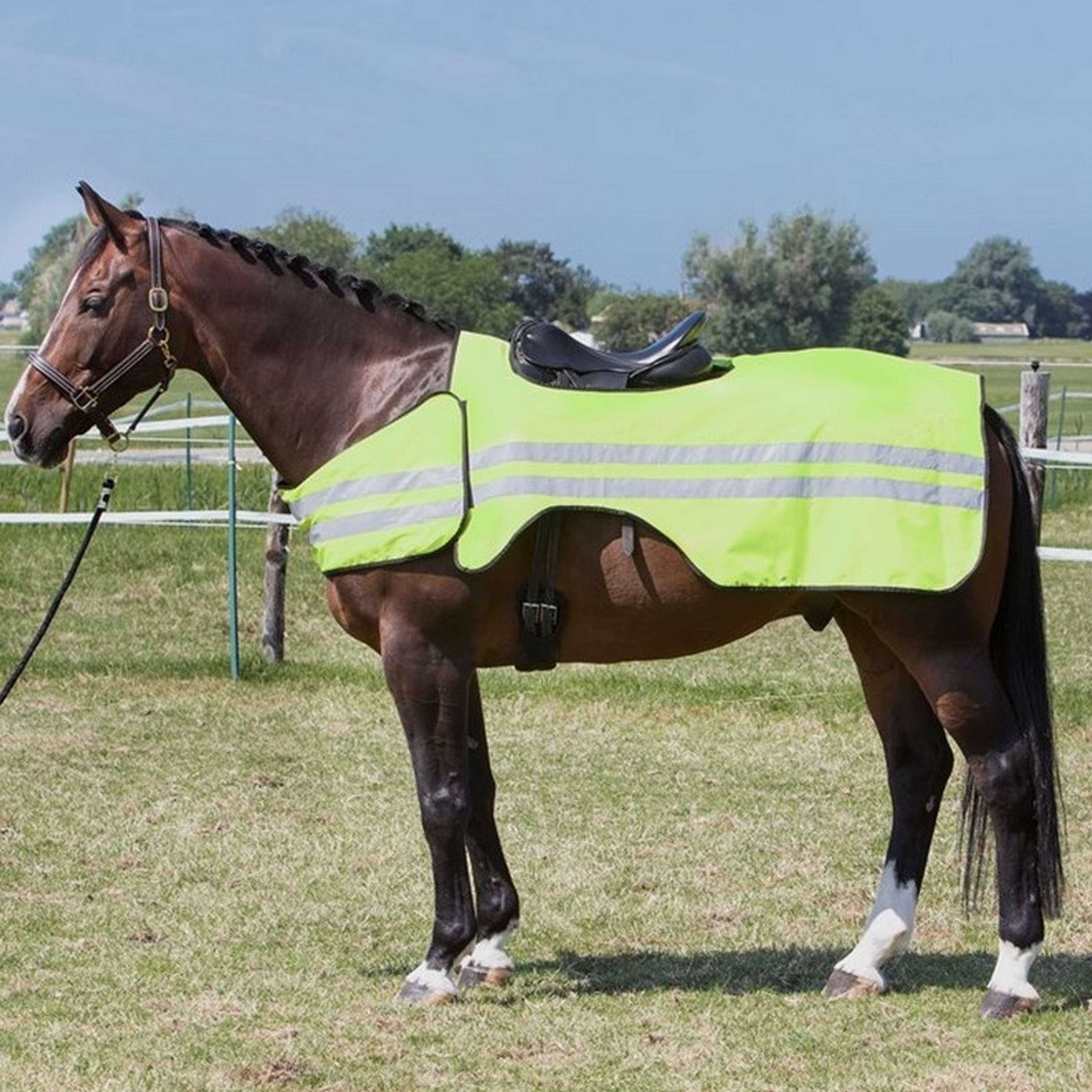 Harry's Horse Exercise Sheet Reflective Reflective