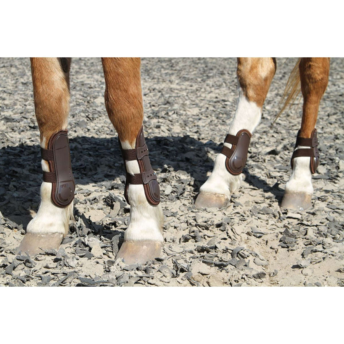 Harry's Horse Tendon Boots Percy Brown