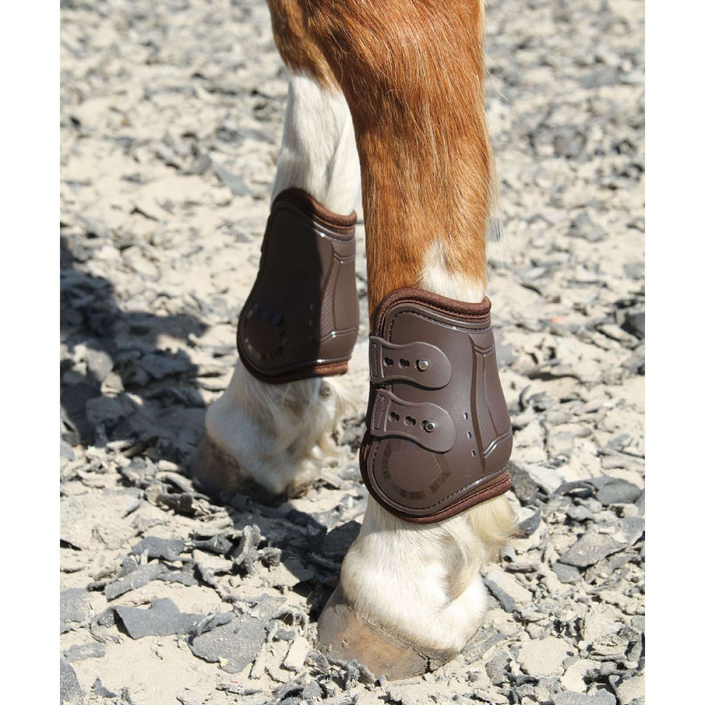 Harry's Horse Bullet guards Percy Brown