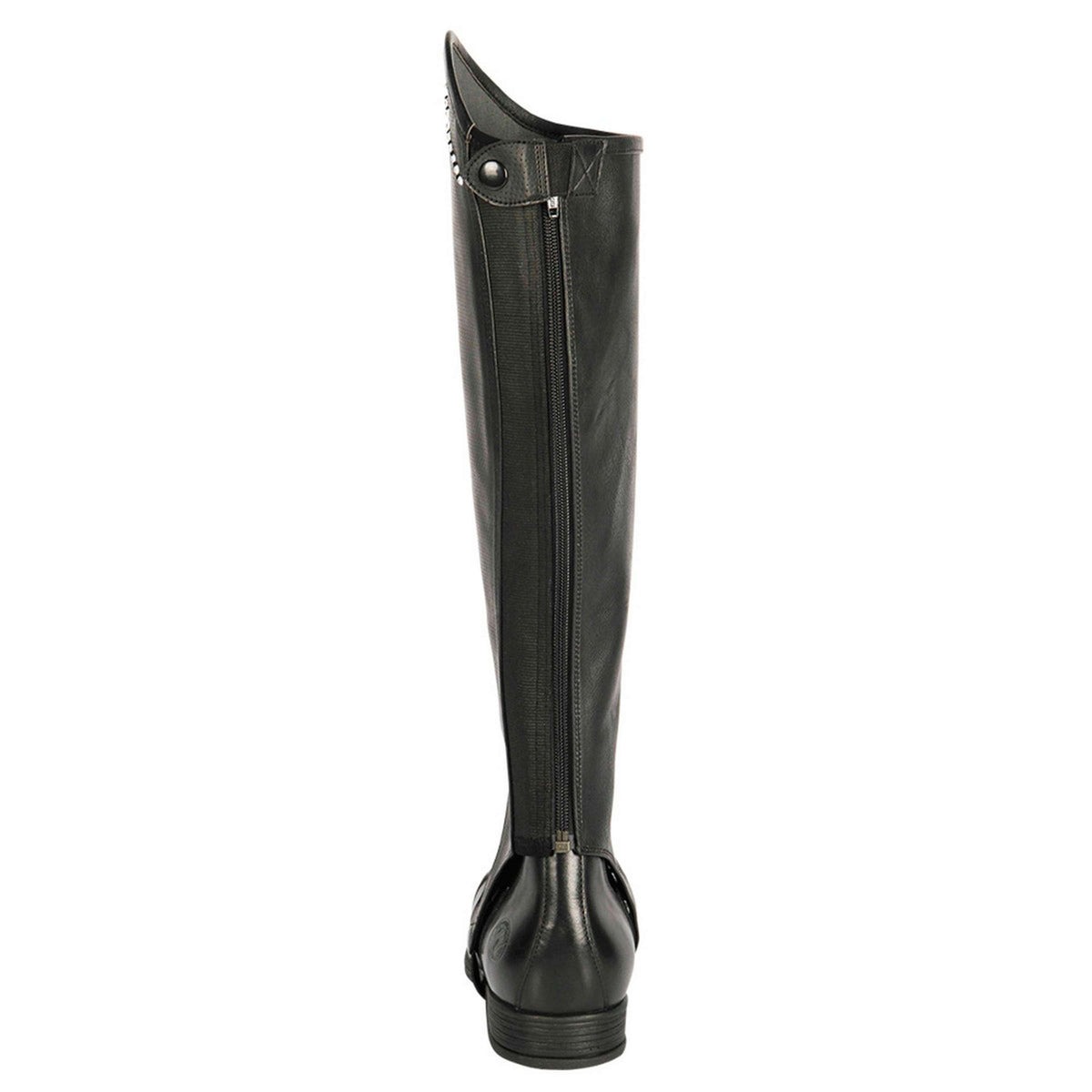 Harry's Horse Chaps Asteroid Black