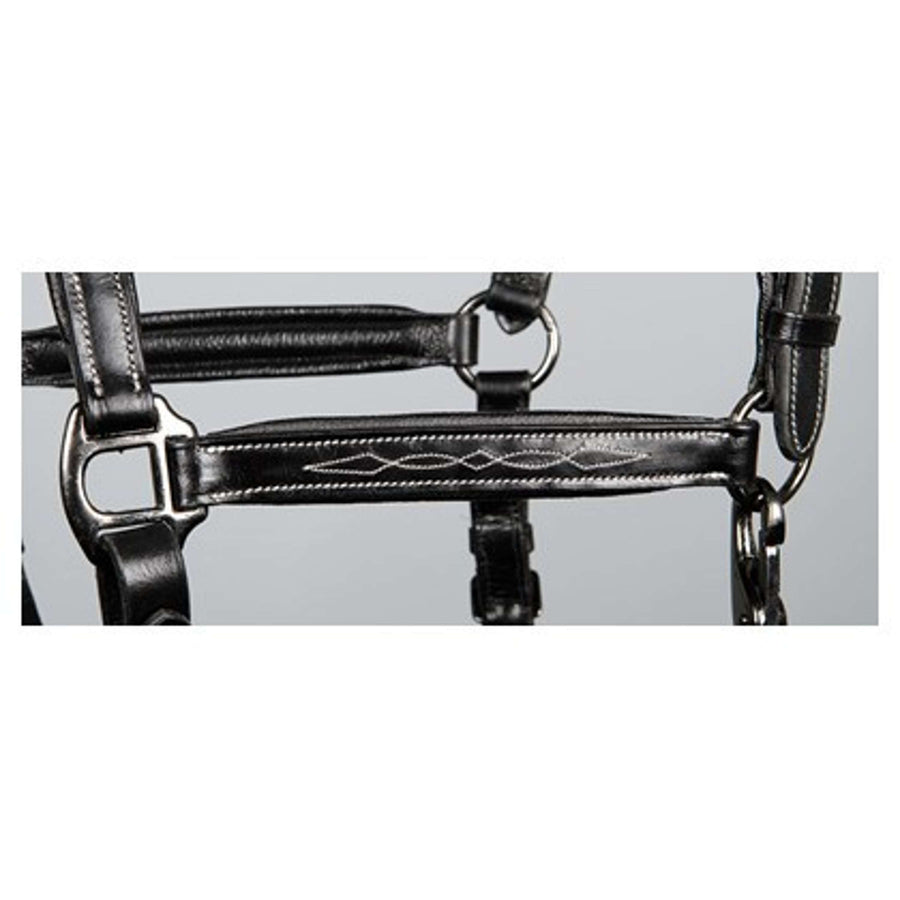 Harry's Horse Head Collar Leather Padded Supreme Black