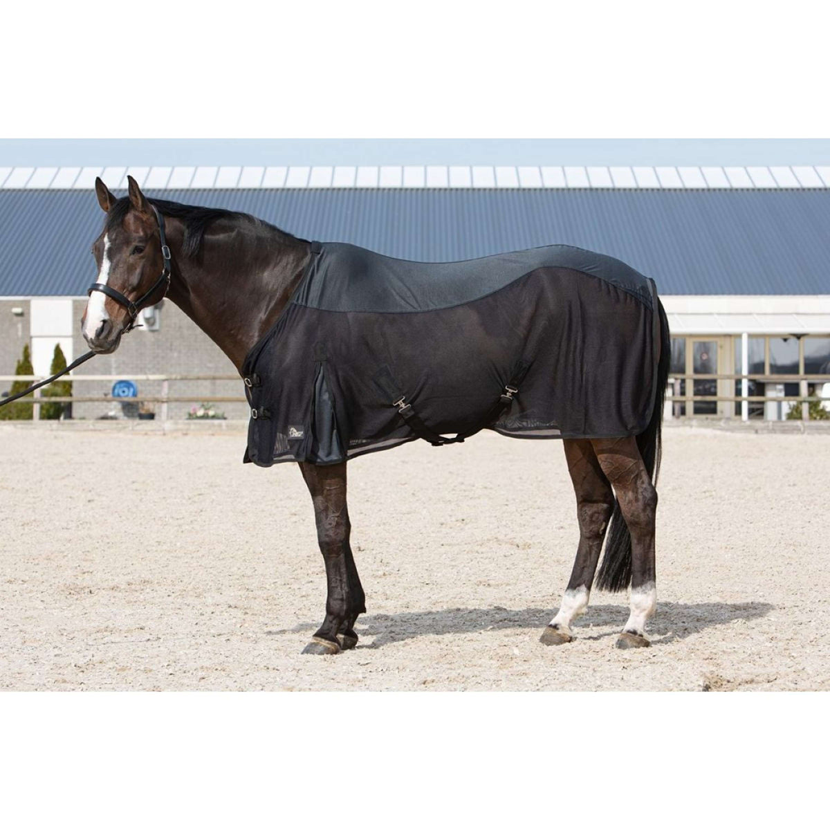 Harry's Horse Cooler Rug Venti Black