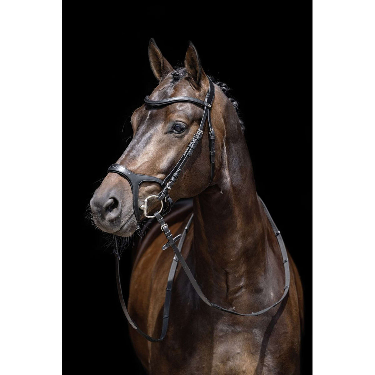 HKM Snaffle Bridle Anatomic Sports Black