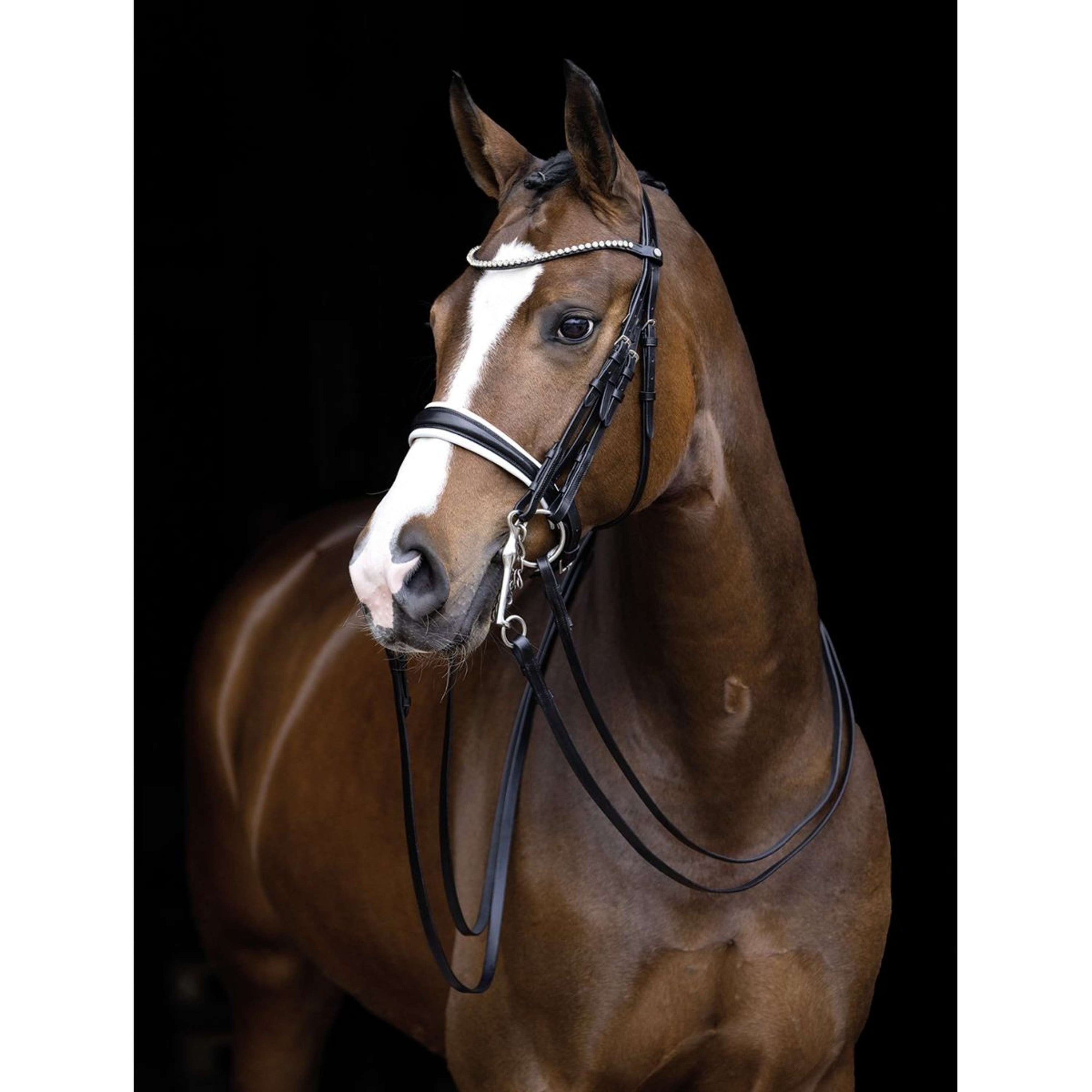 HKM Double Bridle Dina Black