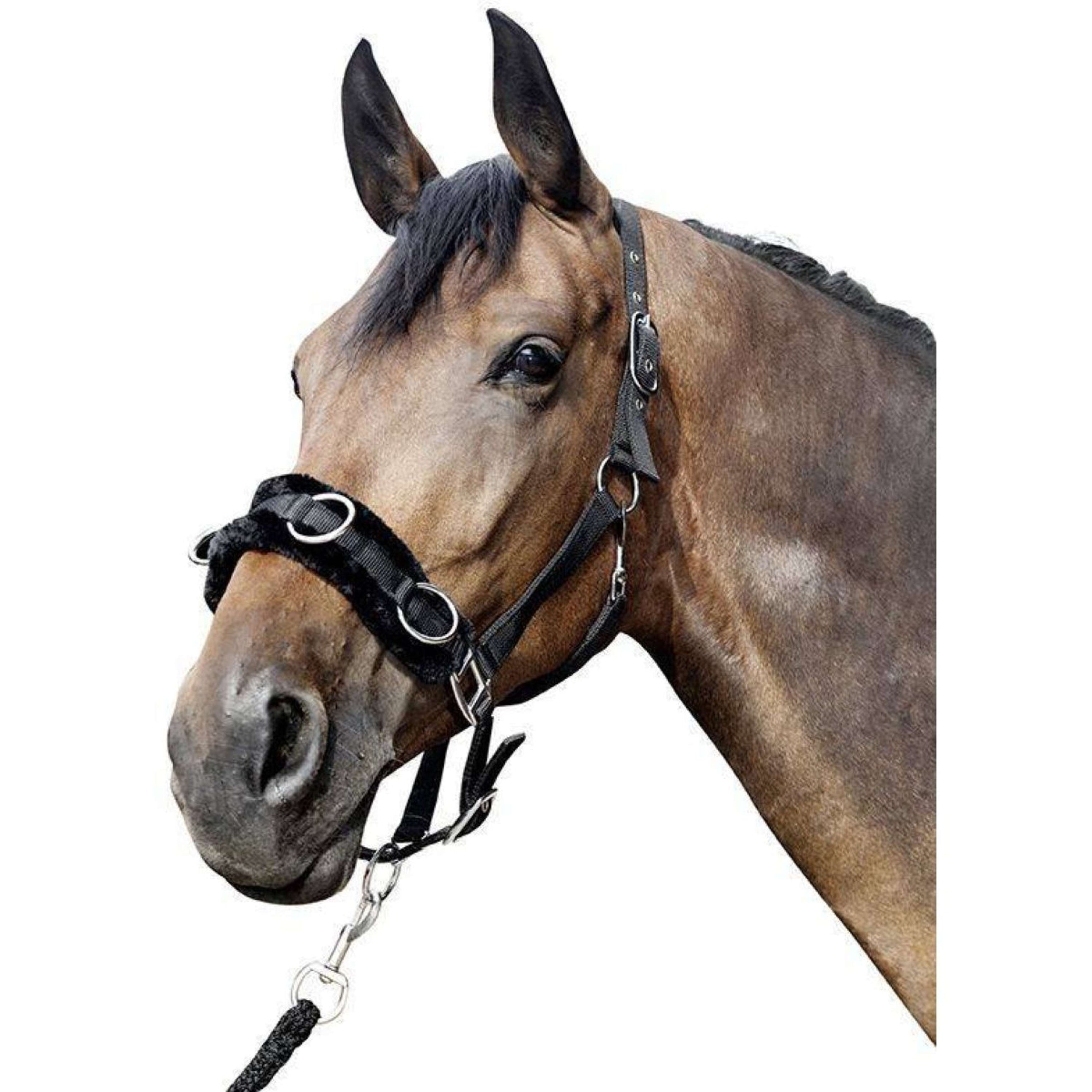 HKM Cavesson Plush Black HKM Cavesson Plush Black