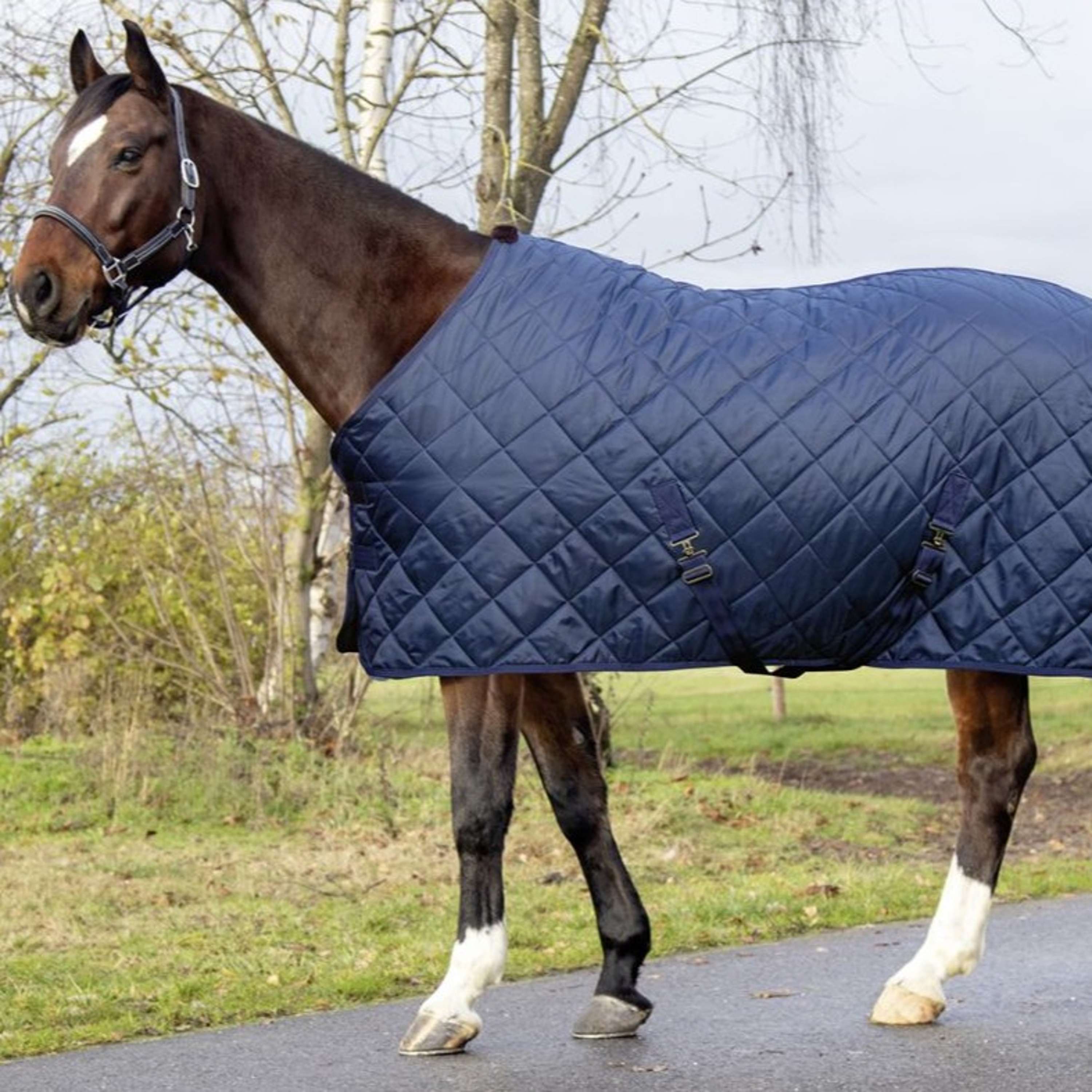 HKM Stable Rug Winter Darkblue