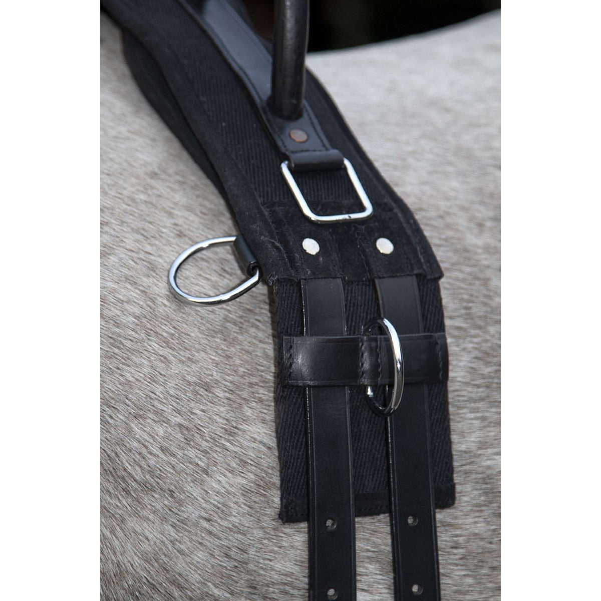 HKM Lunging Girth Canvas Whiteh Double Handgriff Black